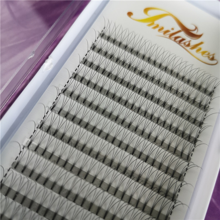 Wholesale 3D premade volume fans lashes